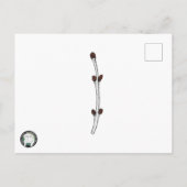 OSNEB Rescue Briefkaart, SemiGloss Uitnodiging Briefkaart (Achterkant)