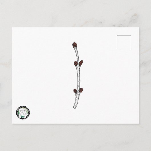 OSNEB Rescue Briefkaart, SemiGloss Uitnodiging Briefkaart (Achterkant)