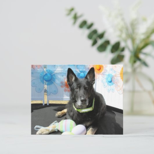 Oso - German Shepherd -4 Briefkaart (Staand voorkant)