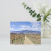 Osoyoos Vineyard Uitzicht Briefkaart (Staand voorkant)