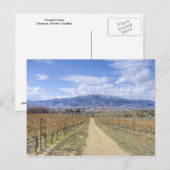 Osoyoos Vineyard Uitzicht Briefkaart (Voorkant / Achterkant)
