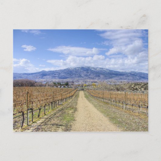 Osoyoos Vineyard Uitzicht Briefkaart (Voorkant)