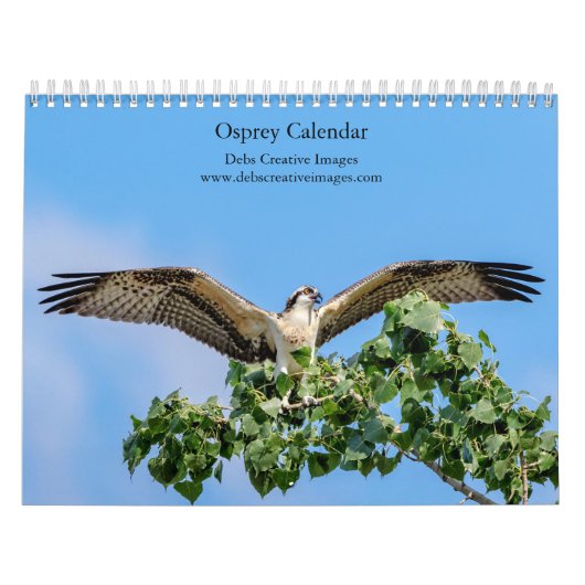 Osprey 2026 Agenda – Majestueuze Roofvogel Fotogra Kalender (Hoes)