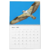 Osprey 2026 Agenda – Majestueuze Roofvogel Fotogra Kalender (Mar 2027)
