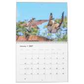 Osprey 2026 Agenda – Majestueuze Roofvogel Fotogra Kalender (Jan 2027)