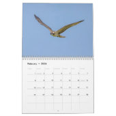 Osprey 2026 kalender (Feb 2026)