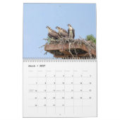 Osprey 2026 kalender (Mar 2027)