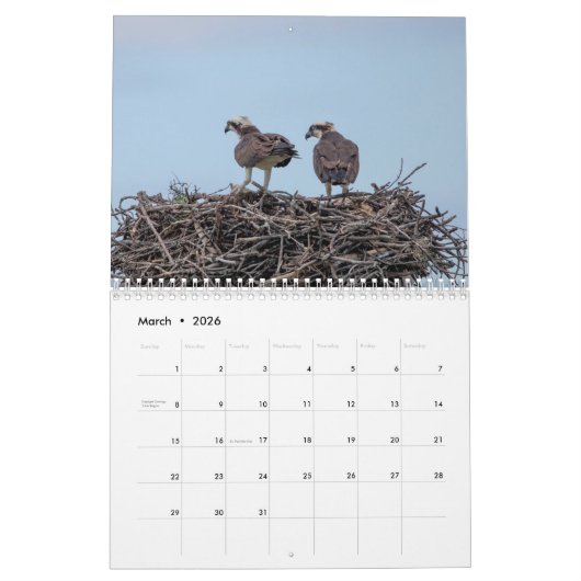 Osprey 2026 kalender (Mar 2026)