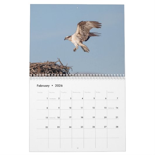 Osprey 2026 kalender (Feb 2026)