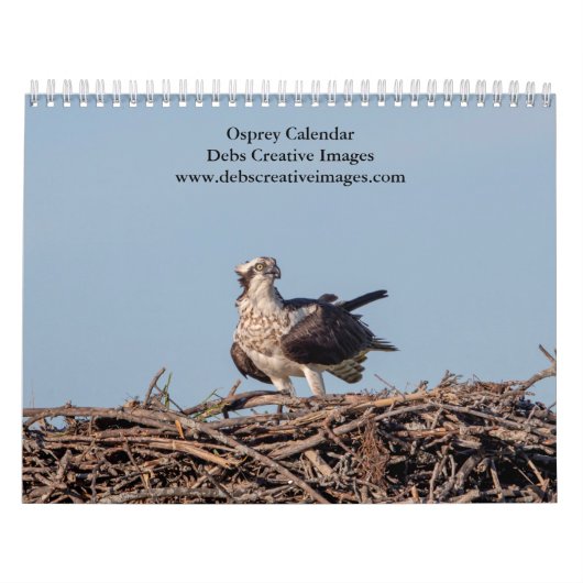 Osprey 2026 kalender (Hoes)