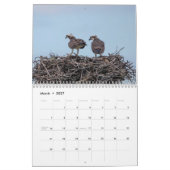 Osprey 2026 kalender (Mar 2027)