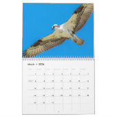 Osprey 2026 kalender (Mar 2026)