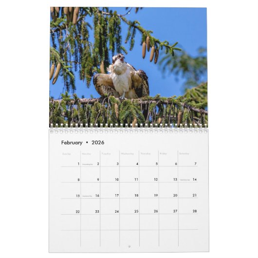 Osprey 2026 kalender (Feb 2026)