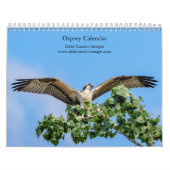 Osprey 2026 kalender (Hoes)