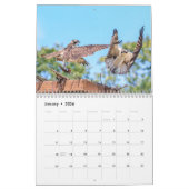 Osprey 2026 kalender (Jan 2026)