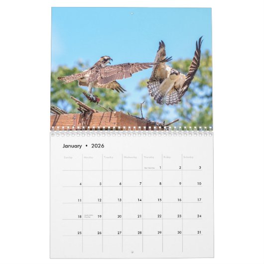 Osprey 2026 kalender (Jan 2026)