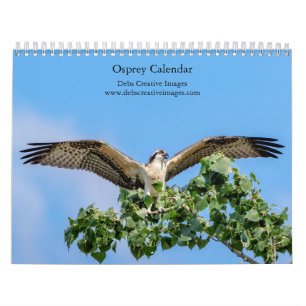 Osprey 2026 kalender