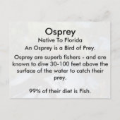 Osprey (4964) Learning-Briefkaart Briefkaart (Achterkant)