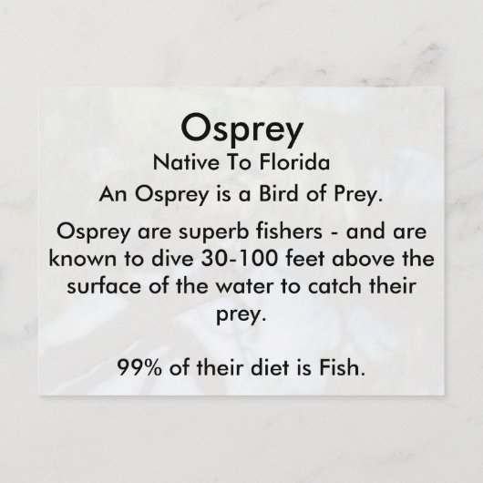 Osprey (4964) Learning-Briefkaart Briefkaart (Achterkant)