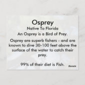 Osprey (4964) Learning-Briefkaart Briefkaart (Achterkant)