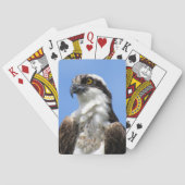 Osprey (4964)-speelkaarten speelkaarten (Achterkant)