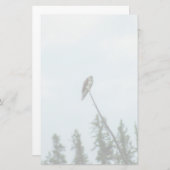 Osprey 9028 briefpapier (Voorkant / Achterkant)