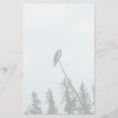 Osprey 9028 briefpapier (Voorkant)