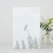 Osprey 9028 briefpapier (Staand voorkant)