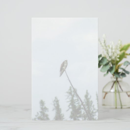 Osprey 9028 briefpapier (Staand voorkant)