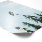 Osprey 9028 foto afdruk (Hoek)