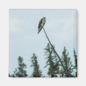 Osprey 9028 magneet (Voorkant)