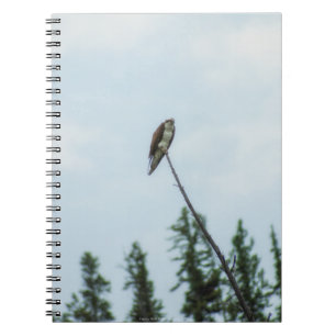 Osprey 9028 notitieboek