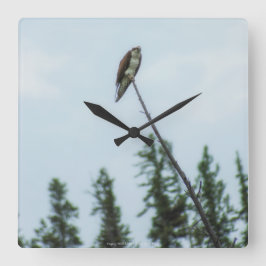 Osprey 9028 vierkante klok