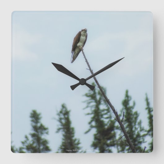 Osprey 9028 vierkante klok (Voorkant)