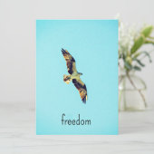 Osprey art bedankkaart (Staand voorkant)