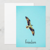 Osprey art bedankkaart (Voorkant / Achterkant)