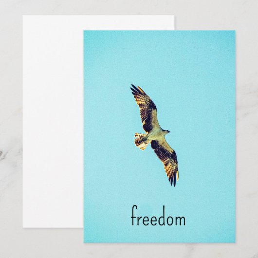 Osprey art bedankkaart (Voorkant / Achterkant)