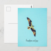 Osprey art briefkaart (Voorkant / Achterkant)