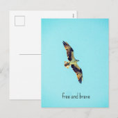 Osprey art feestdagenkaart (Voorkant / Achterkant)