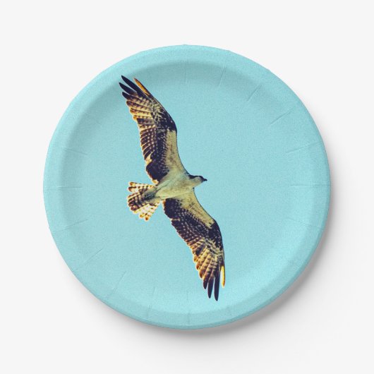 Osprey art papieren bordje (Voorkant)
