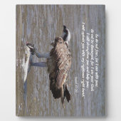Osprey Bird Fish Wildlife Isaiah Photo Plaque Fotoplaat (Voorkant)