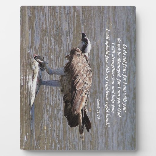 Osprey Bird Fish Wildlife Isaiah Photo Plaque Fotoplaat (Voorkant)
