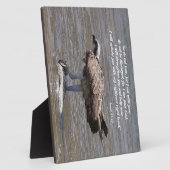 Osprey Bird Fish Wildlife Isaiah Photo Plaque Fotoplaat (Zijkant)