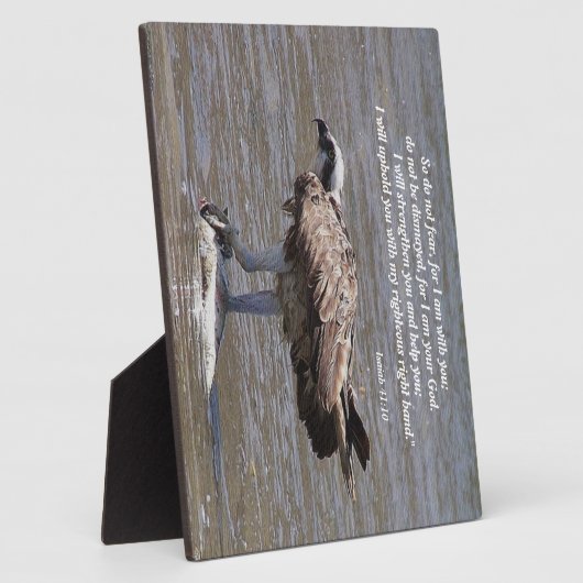 Osprey Bird Fish Wildlife Isaiah Photo Plaque Fotoplaat (Zijkant)
