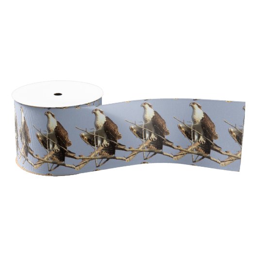 Osprey Bird Fotolint Grosgrain Lint (Spoel)