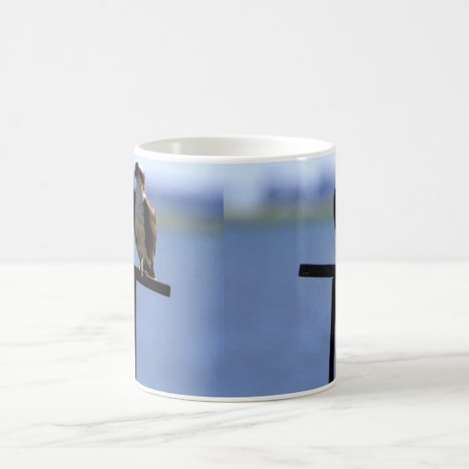 Osprey Bird Koffiemok (Center)