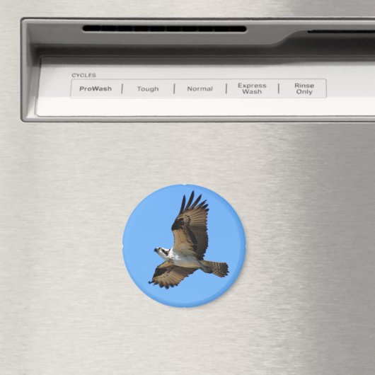 Osprey Bird Magnet (Insitu (Vaatwasser))