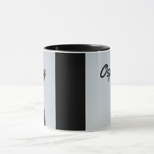 Osprey Bird  Mok (Midden)