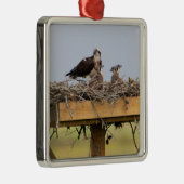 Osprey Bird Nest Ornament (Rechts)