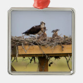 Osprey Bird Nest Ornament (Voorkant)